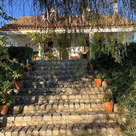 Casa Rural "El Carrasca" El Carrascalejo Eksteriør bilde