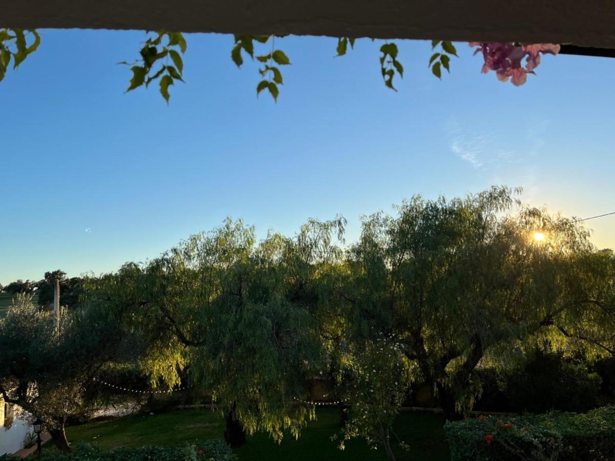Casa Rural "El Carrasca" El Carrascalejo Eksteriør bilde
